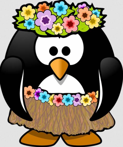 Escape game mobile à louer sur La Garde dans le Var